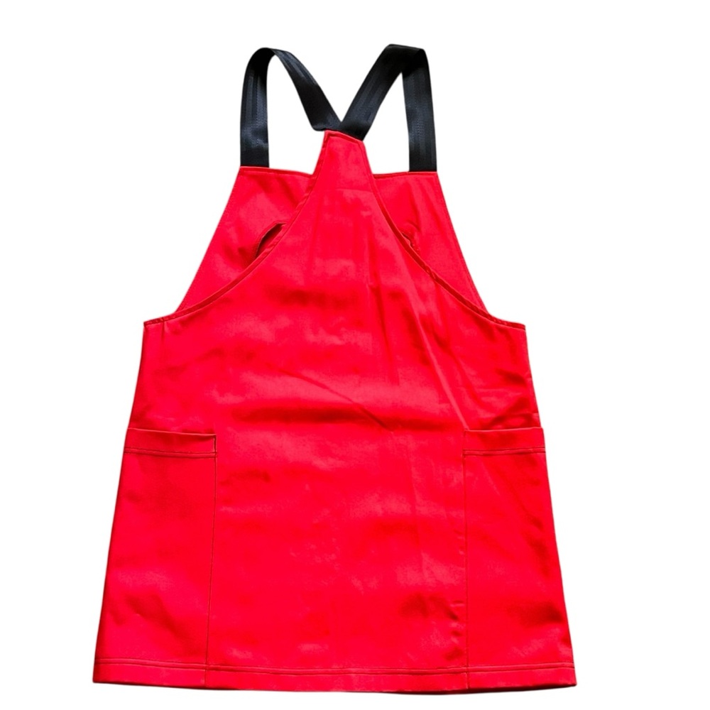 The Ragged Priest Red Mini Dress - Picture 5 of 9